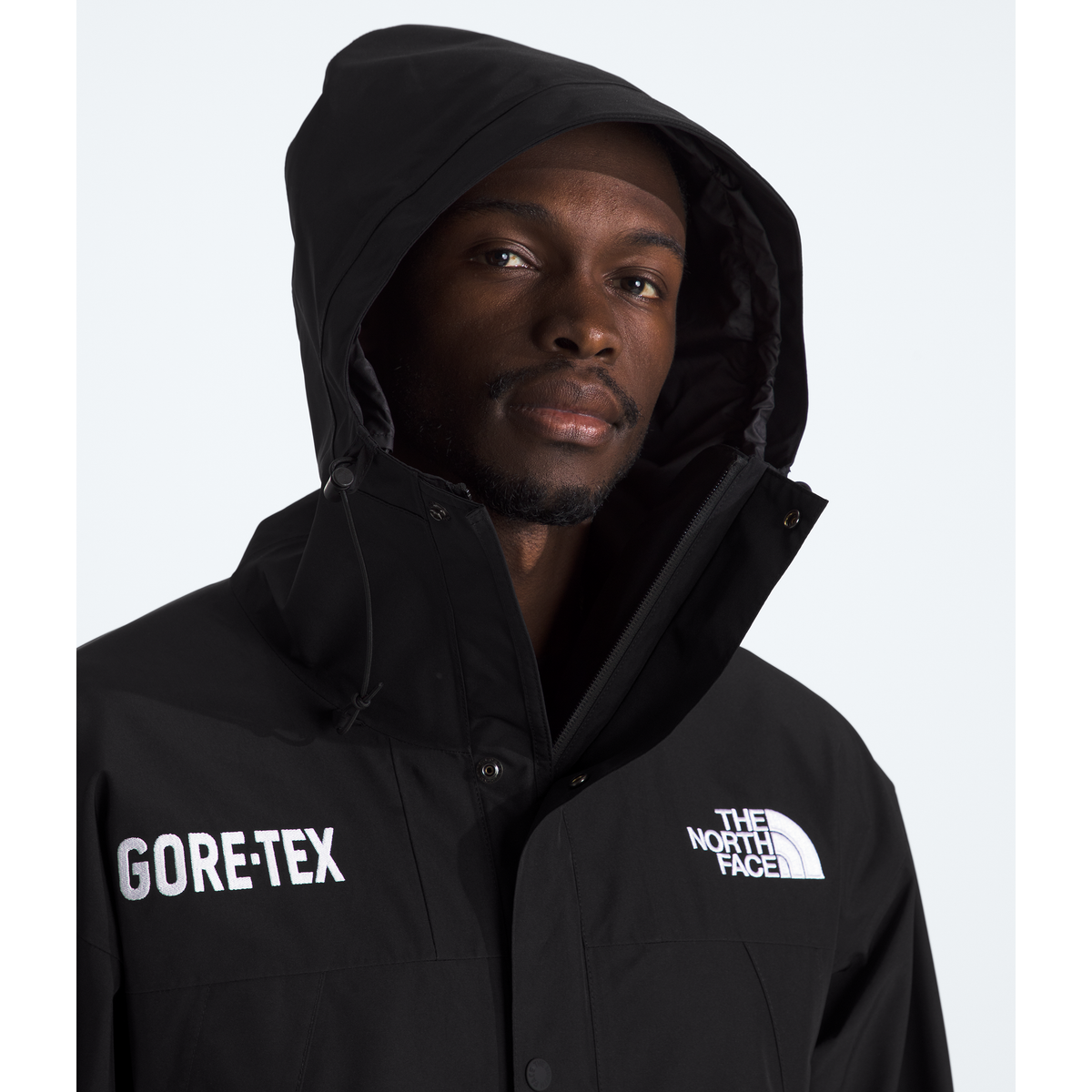 The North Face Men's GORE-TEX Mountain Jacket