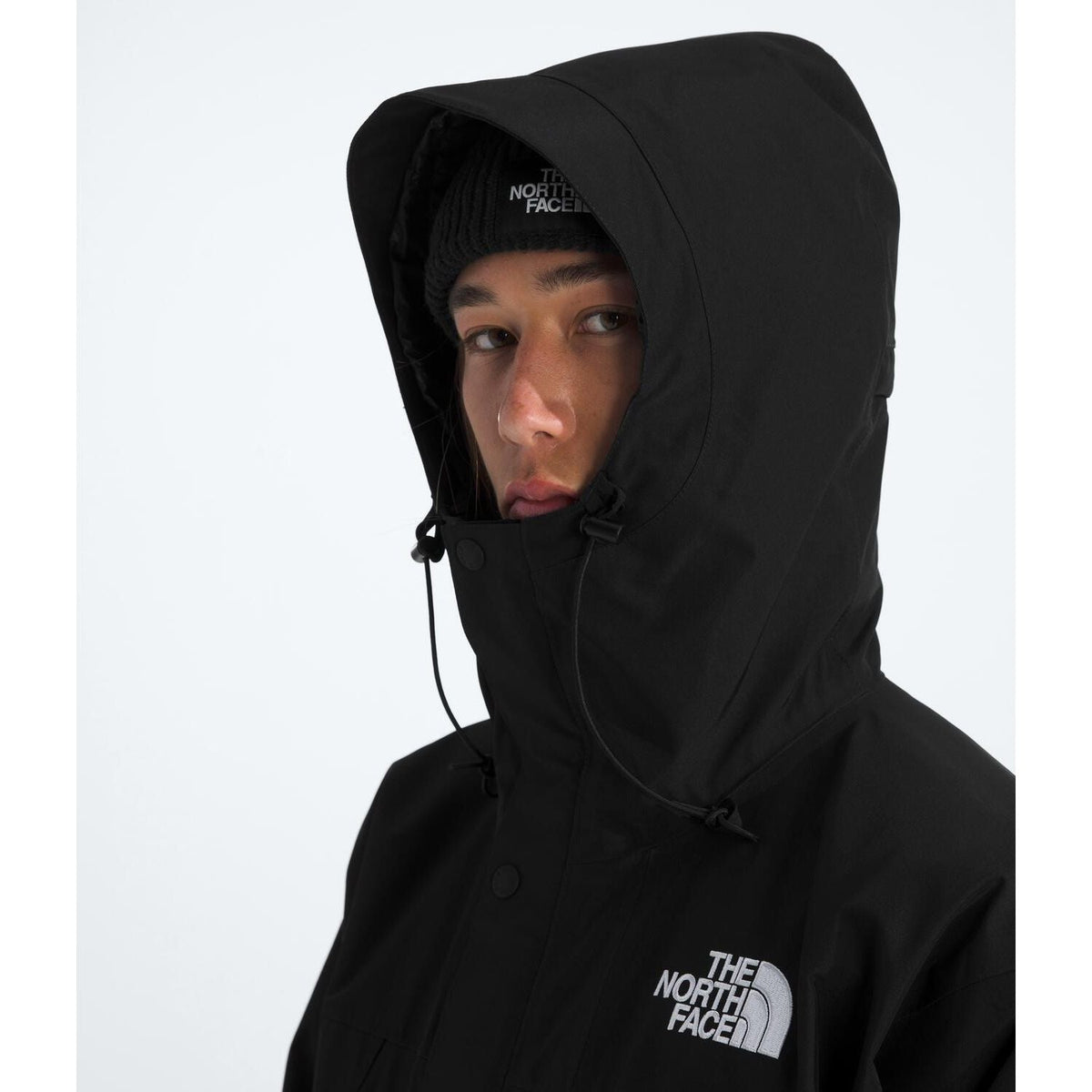 The North Face Men's GORE-TEX Mountain Jacket