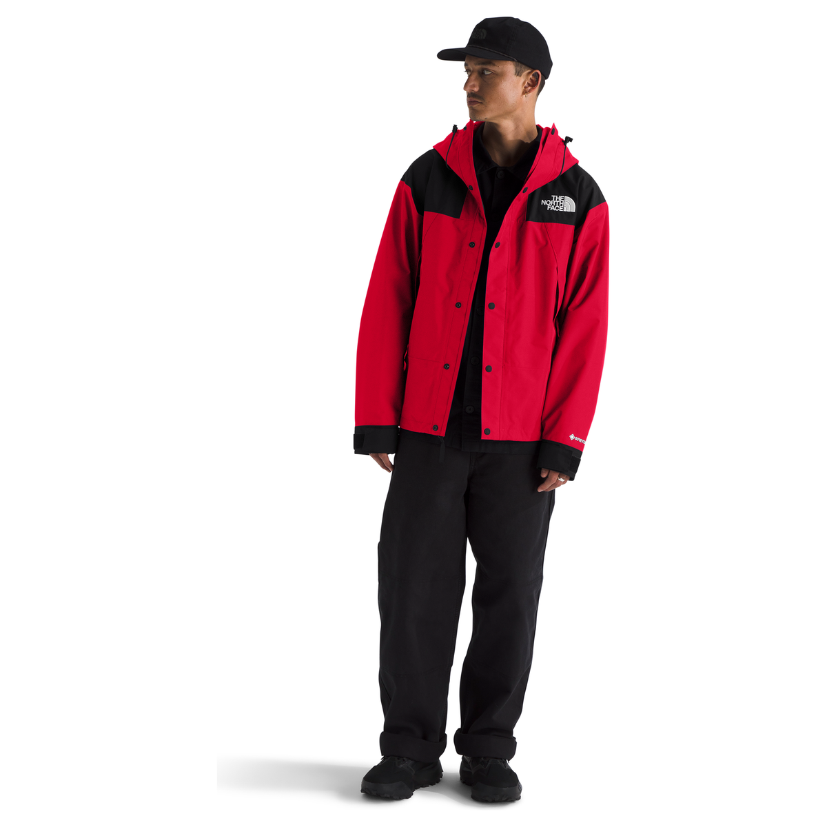 The North Face Men's GORE-TEX Mountain Jacket