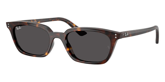 Ray-Ban Zaya RB 4456 1359/87 - As Seen On Aron Piper